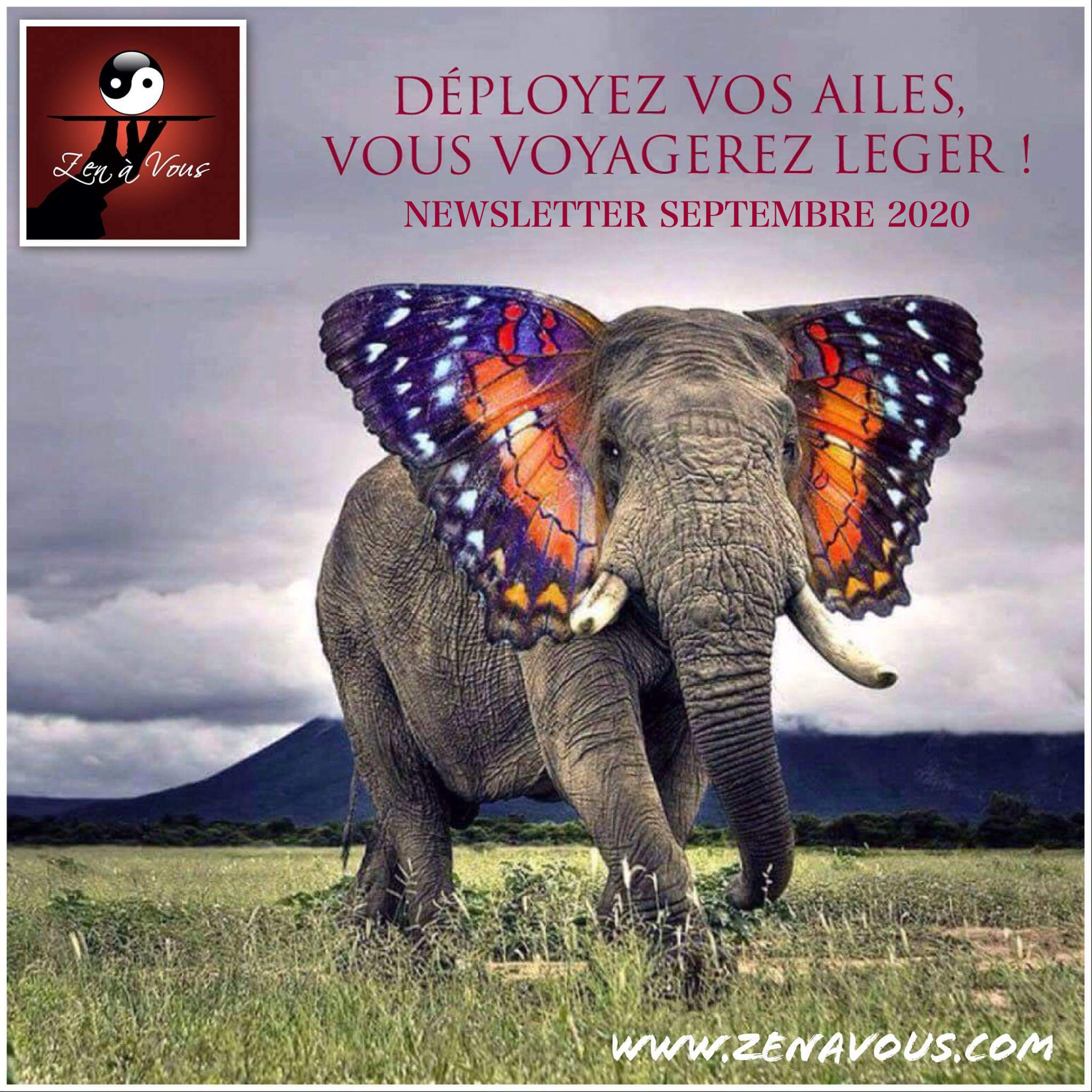 You are currently viewing Newsletter septembre 2020 : Zen à Vous brise les distances !