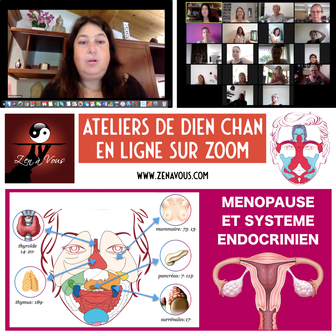 You are currently viewing Atelier Zoom – Ménopause et Système Endocrinien