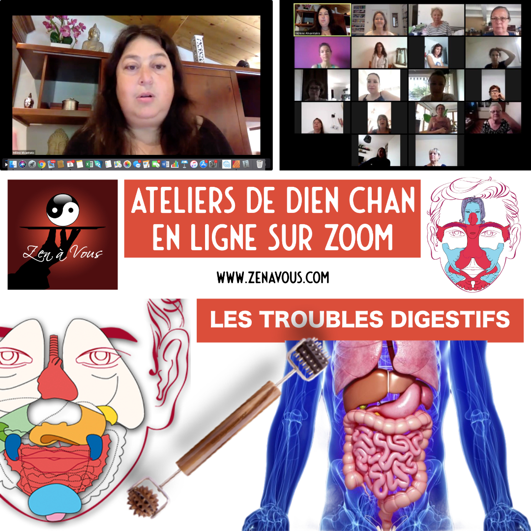 Lire la suite à propos de l’article Atelier Zoom – Les troubles digestifs