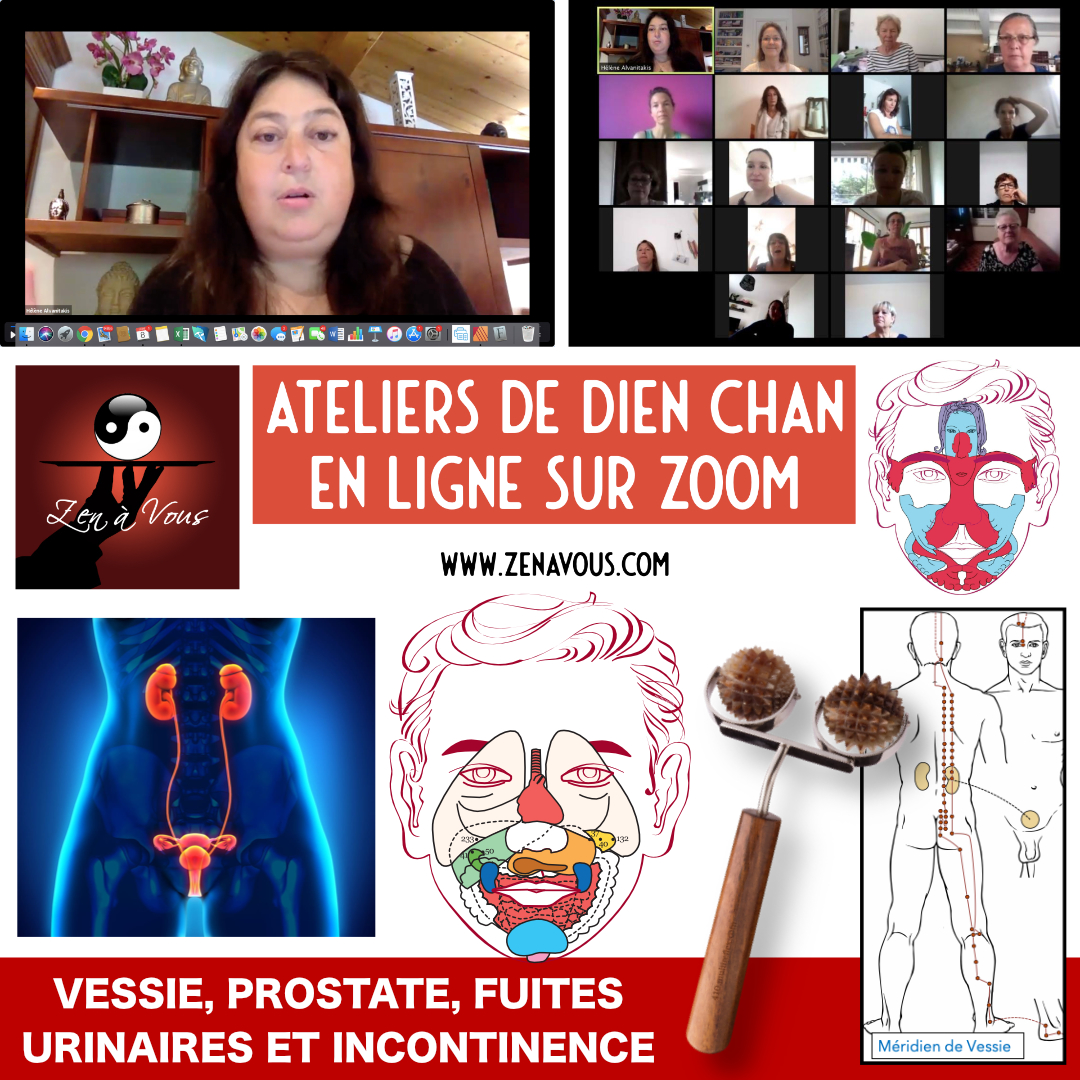 Lire la suite à propos de l’article Atelier Vessie, Prostate, Fuites urinaires et Incontinence