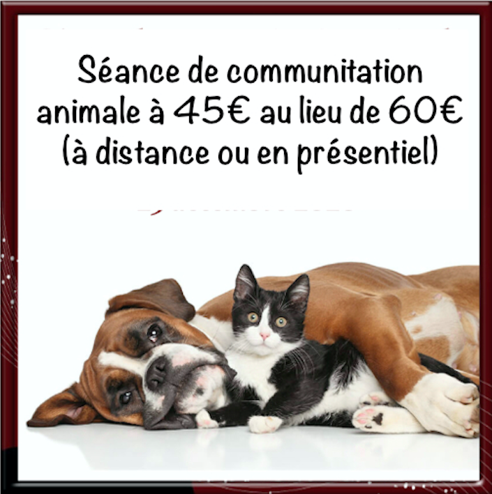 Lire la suite à propos de l’article JOUR 16 – Calendrier de l’Avent