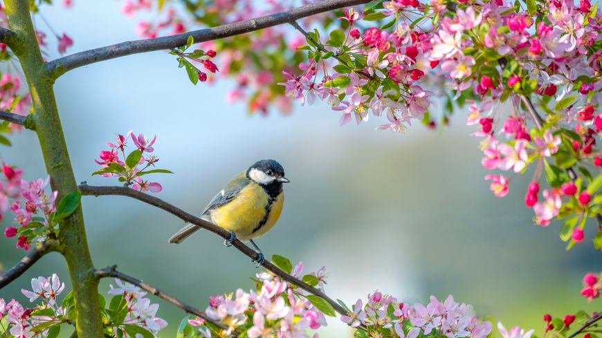 Lire la suite à propos de l’article C’est le printemps, vive l’autonomie !